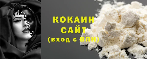 стаф Алзамай