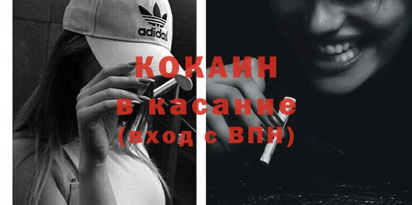 стаф Алзамай