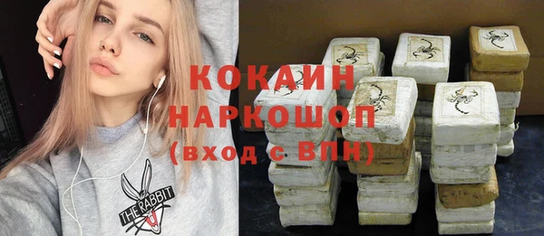 стаф Алзамай