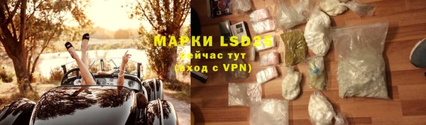 стаф Алзамай
