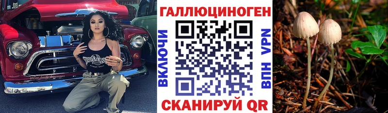 Псилоцибиновые грибы ЛСД Андреаполь